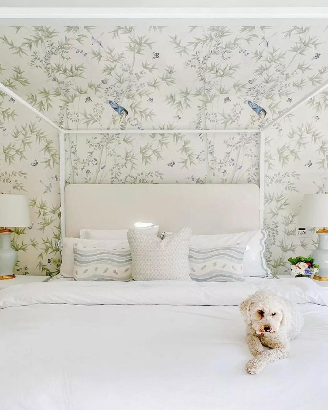 Schumacher | A Designer's Resource for Fabric, Wallpaper & Trim