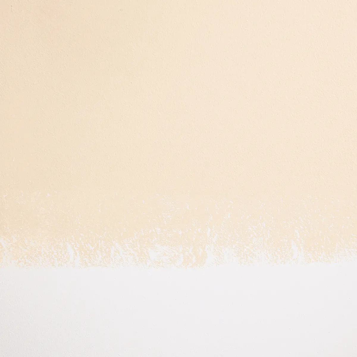 CHAMPAGNE BONFIRE_ Soft, pale peach