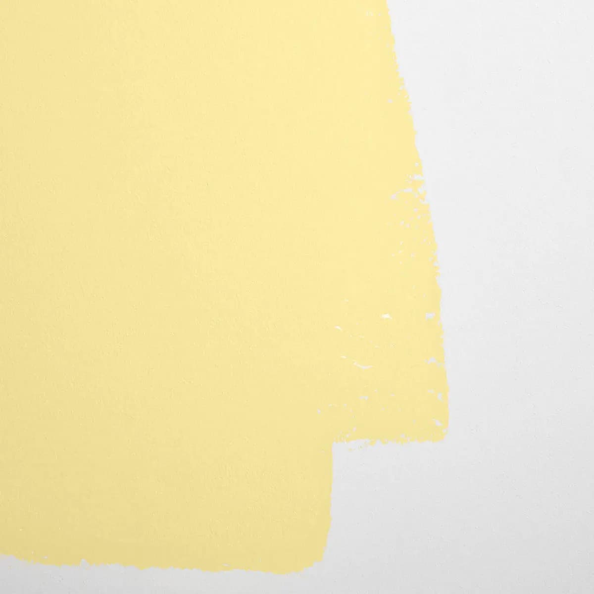 DISCO NAP_ Light acid-yellow