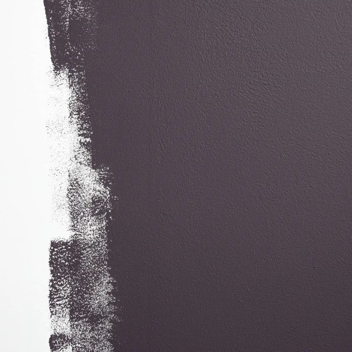 ESSENCE OF NIGHTSHADE_ Deep purple
