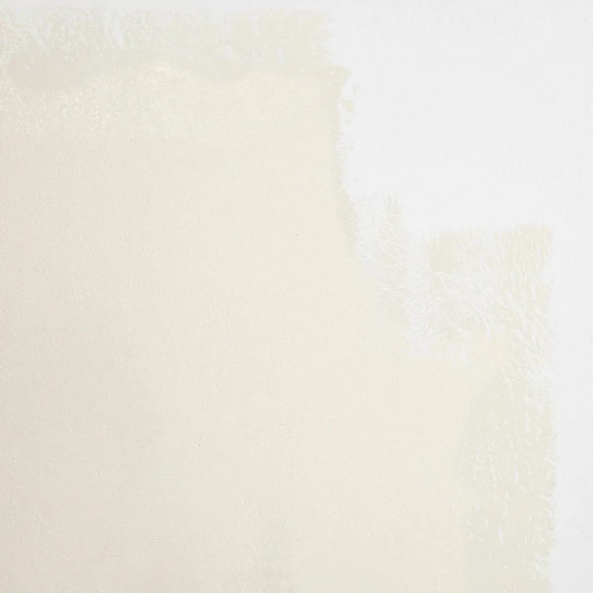 HARVEST MOON_ Warm white