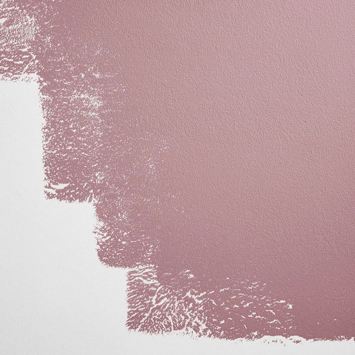 JAWBREAKER_ Rosy mauve