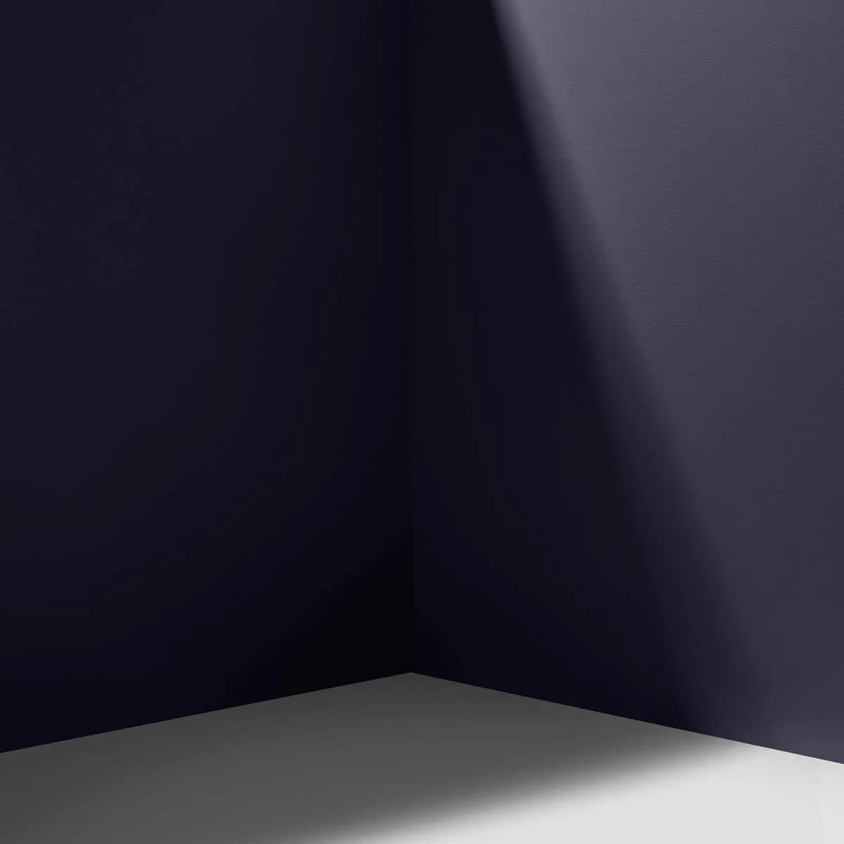 MCQUEEN_ Inky black with a hint of purple