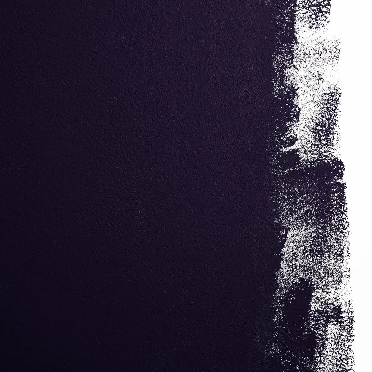 MCQUEEN_ Inky black with a hint of purple