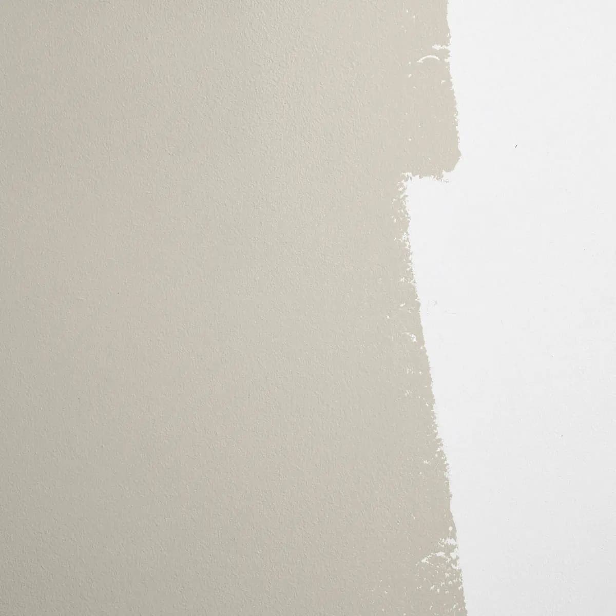 MOJAVE GATHERING_ Neutral gray-beige