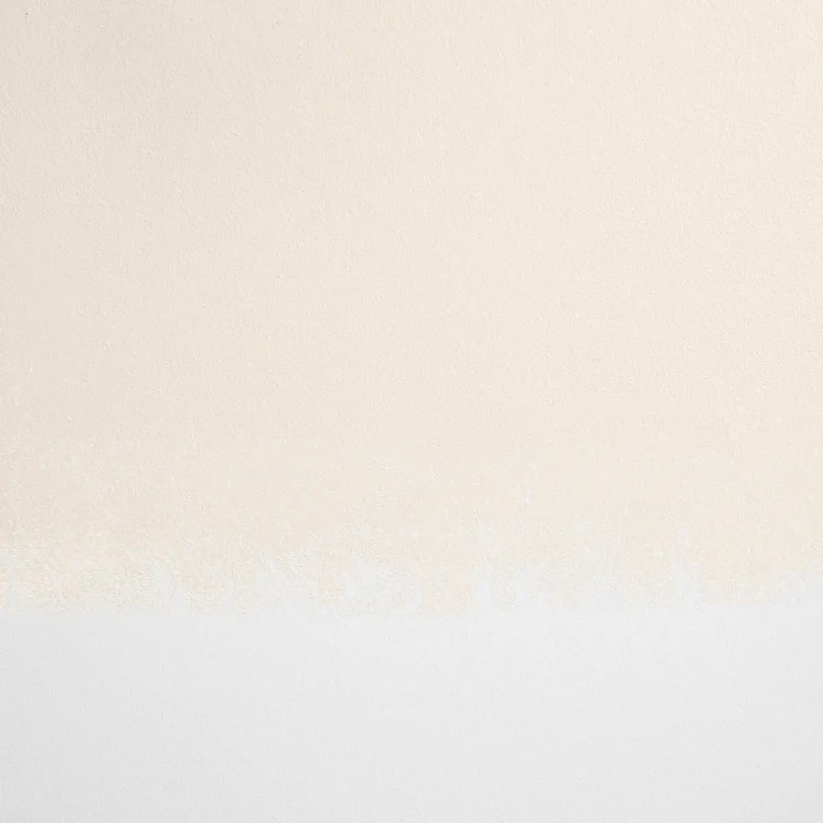 MOONLIGHT_ Warm off-white