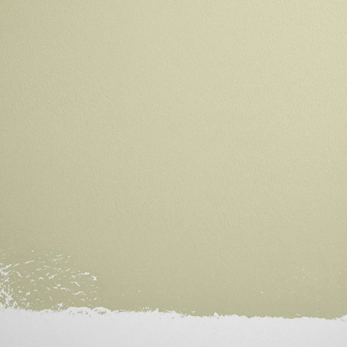 NATURAL HABITAT_ Light green with a hint of yellow