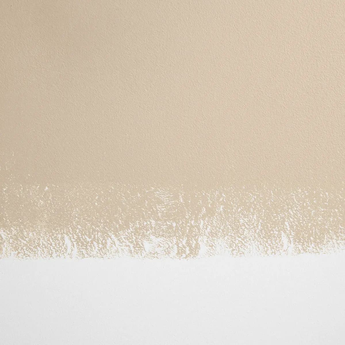 RYOKAN GUESTHOUSE_ Neutral beige