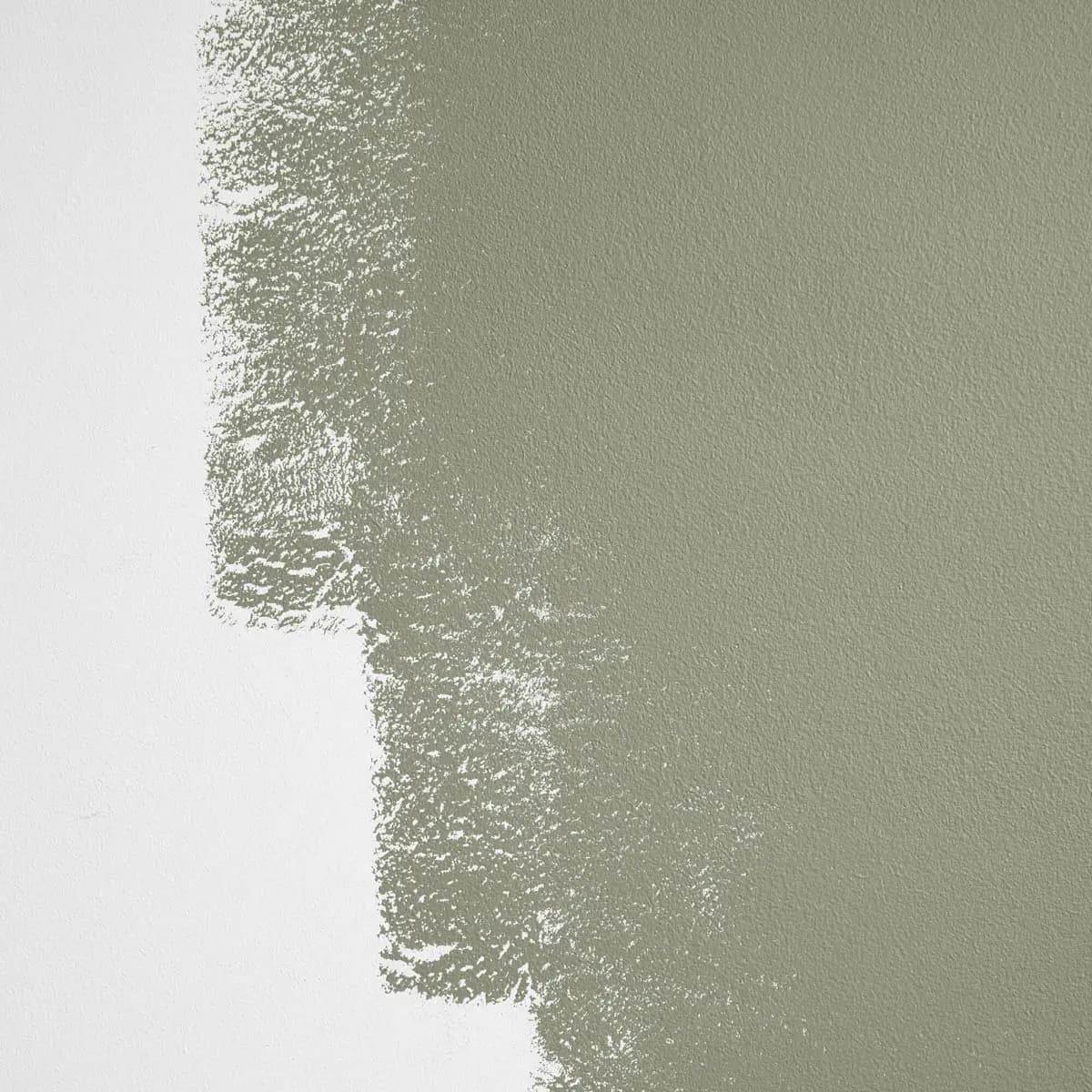 SAGED_ Muted olive green