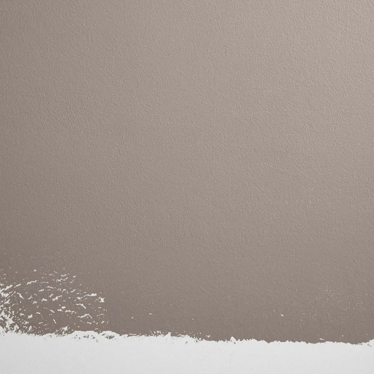 SENTIMENTAL REASONS_ Warm, taupe-gray