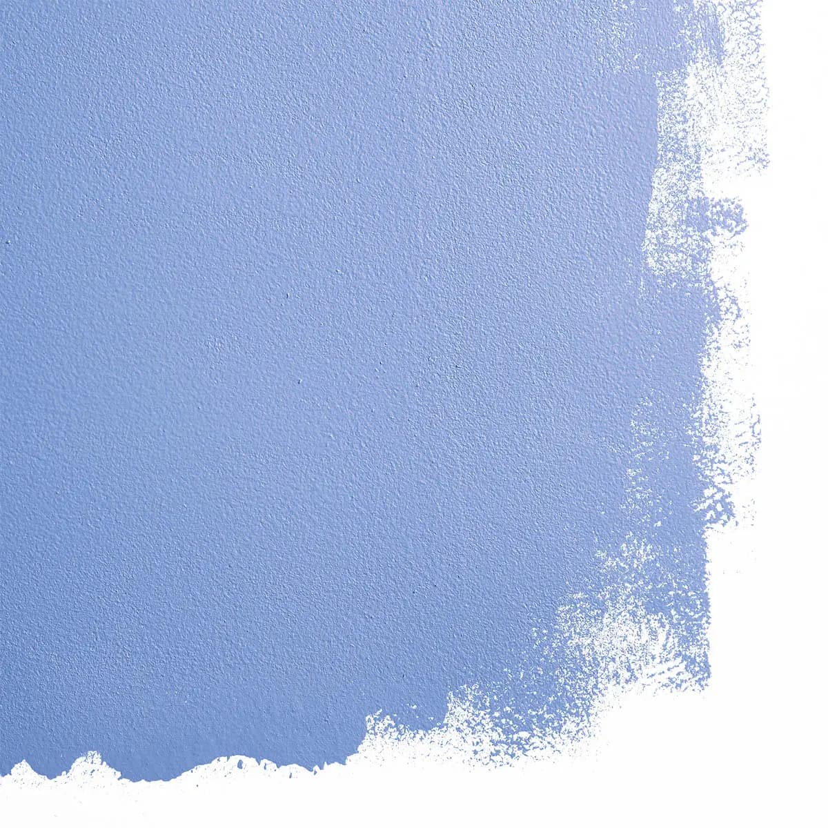 STROMBOLI CHESS CLUB_ Vibrant cornflower blue