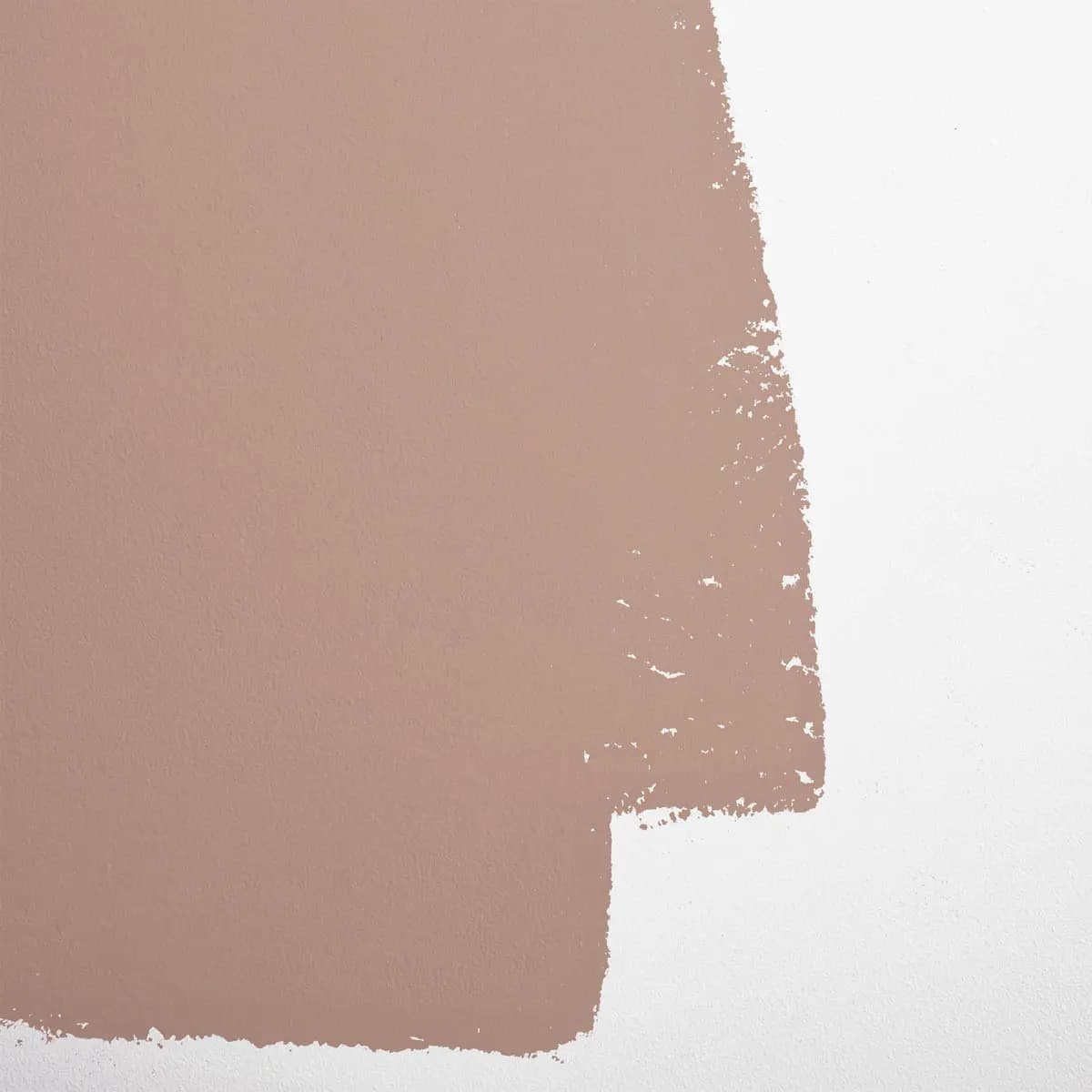 STUDIO HOURS_ Warm taupe