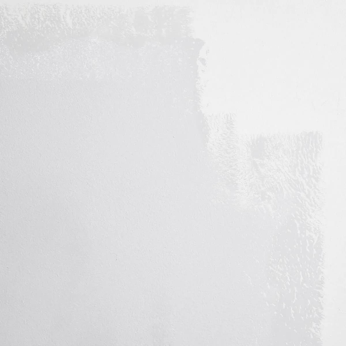 WEST COAST GHOST_ Super light gray with blue undertones