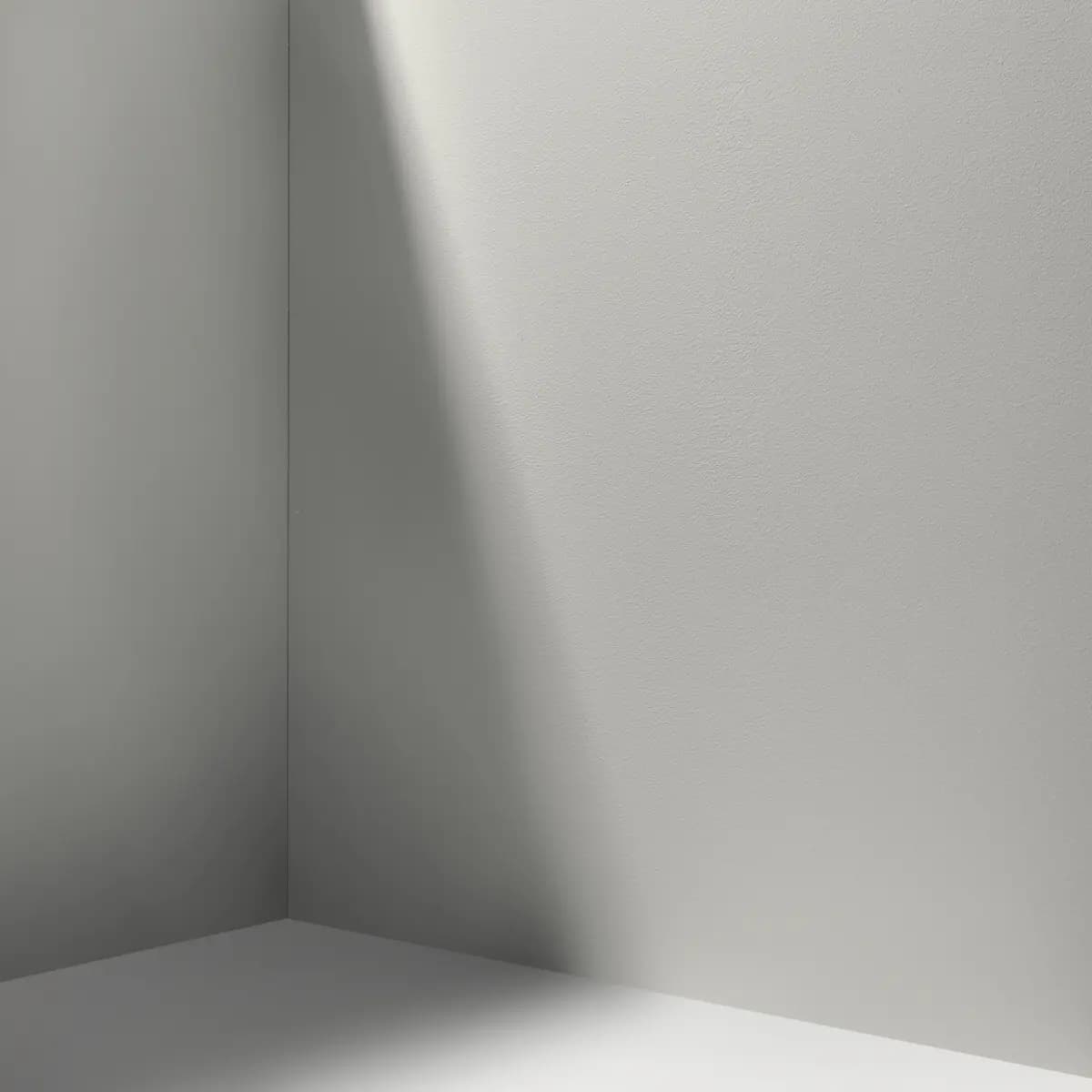 WESTSIDE LOCAL_ Pure, neutral gray