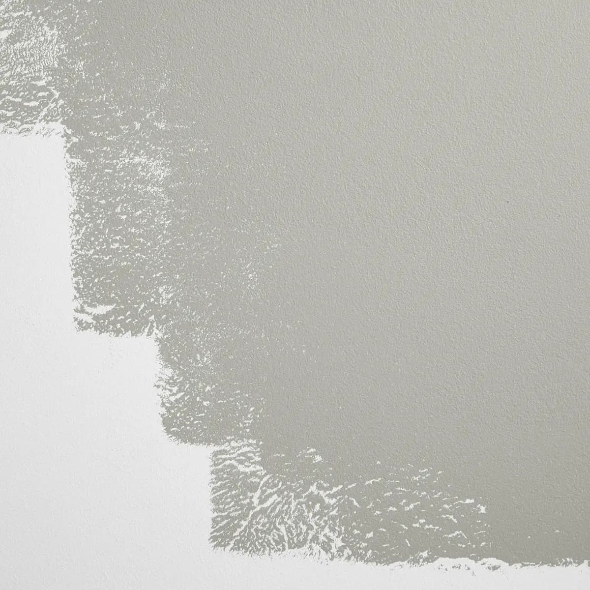 WESTSIDE LOCAL_ Pure, neutral gray