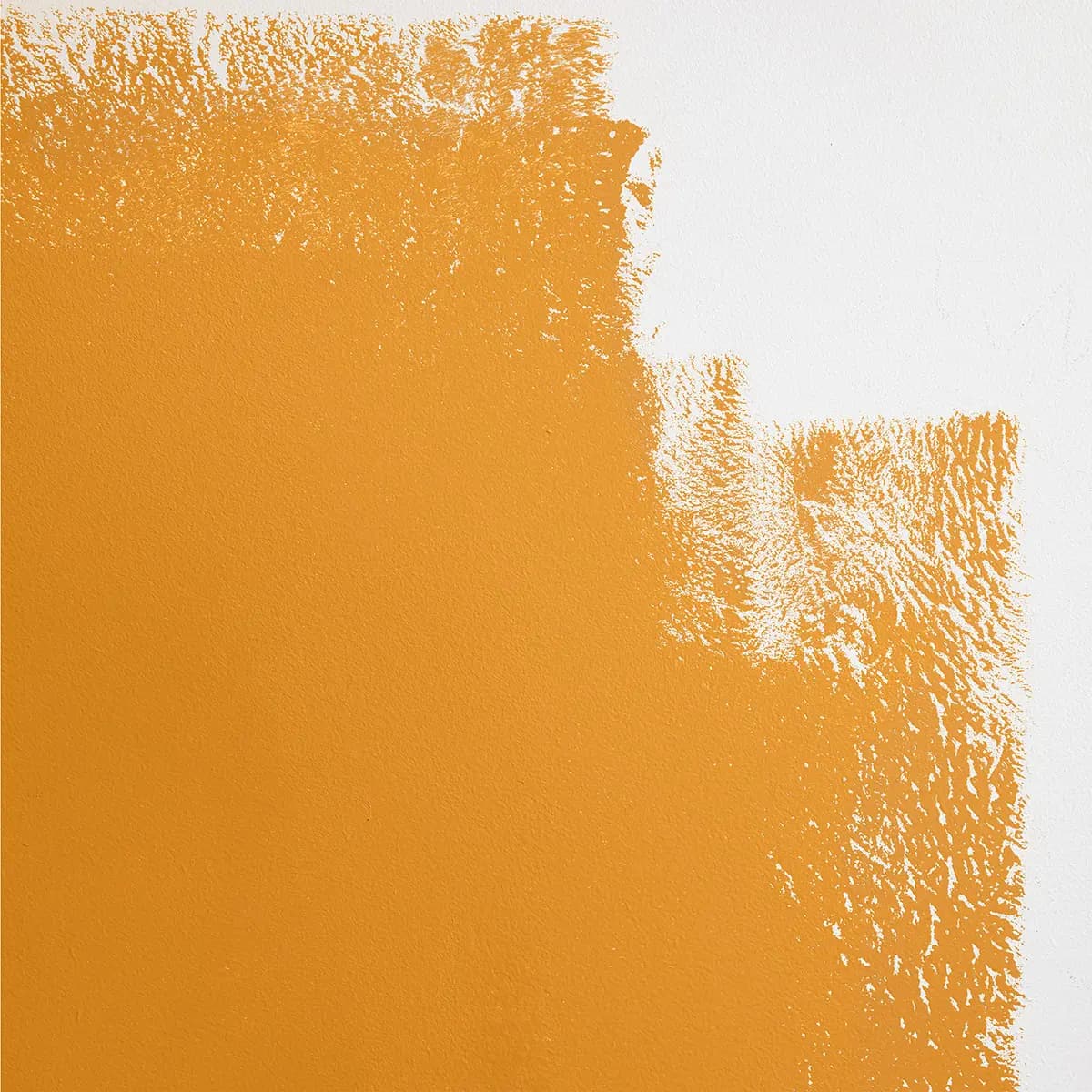 COLOR OF THE YEAR_ Yellow-orange