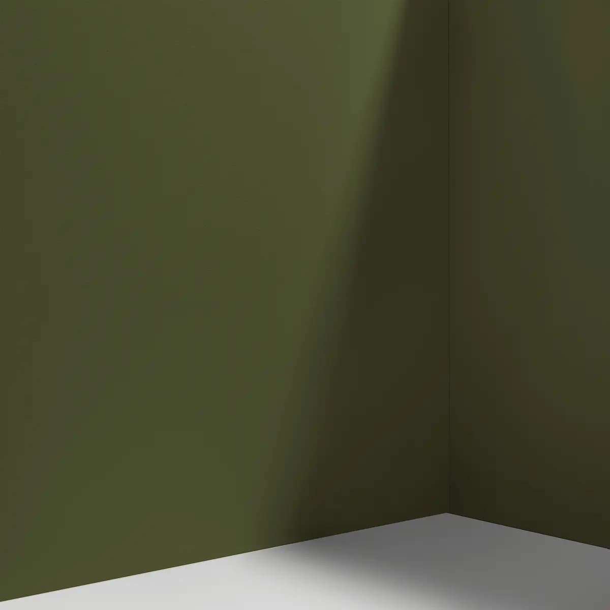 NIGHT ON EARTH_ Dark olive green
