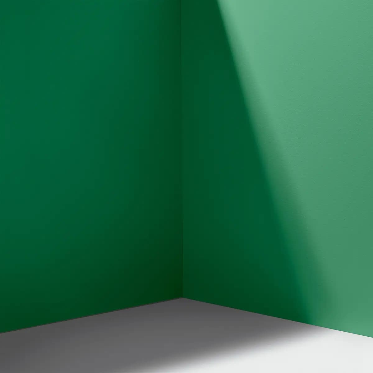 TROOP BEVERLY HILLS_ Bright green