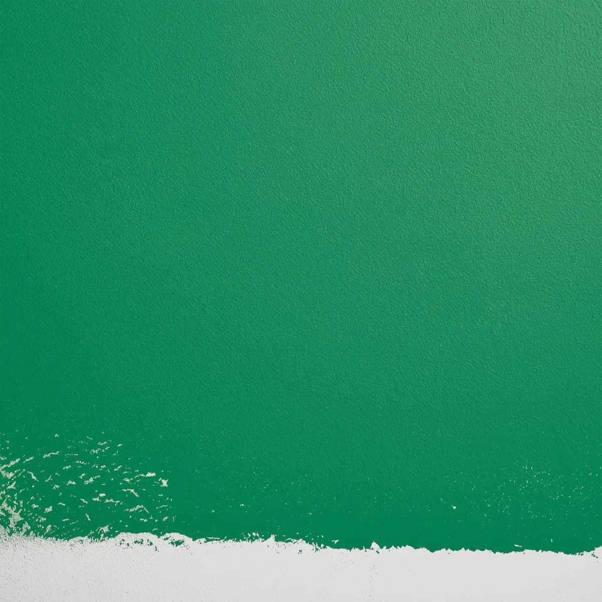 TROOP BEVERLY HILLS_ Bright green