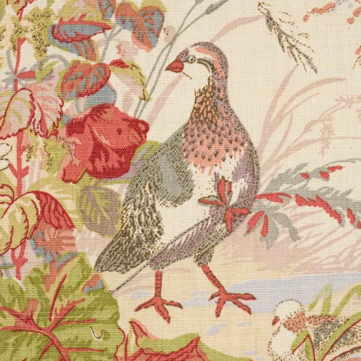 QUAIL MEADOW_ WINTER