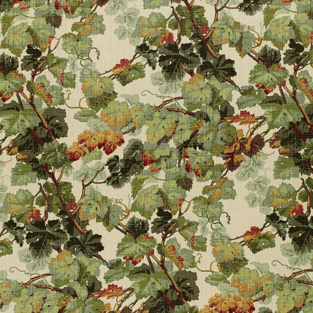 ARBOR VINE_ DOCUMENT