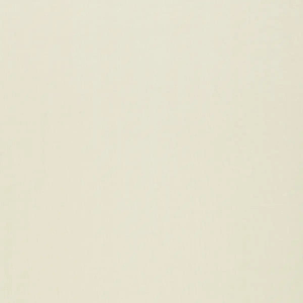 AILEY SHEER_ CREAM