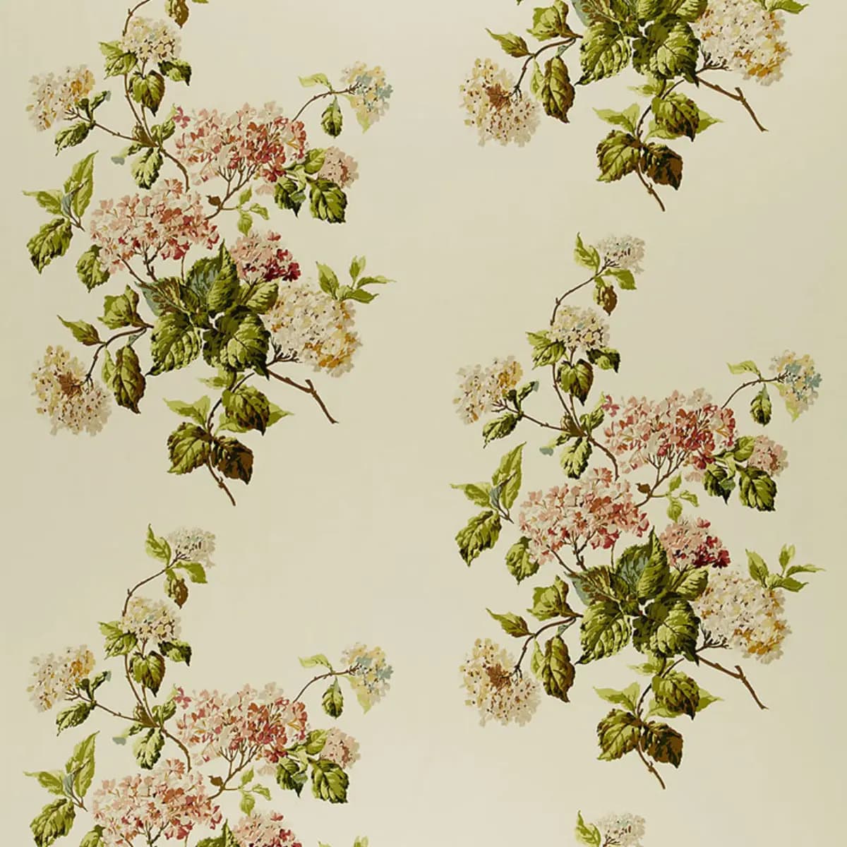 SUMMER HYDRANGEA_ IVORY