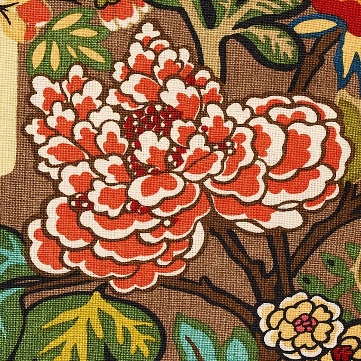 CHIANG MAI DRAGON_ MOCHA