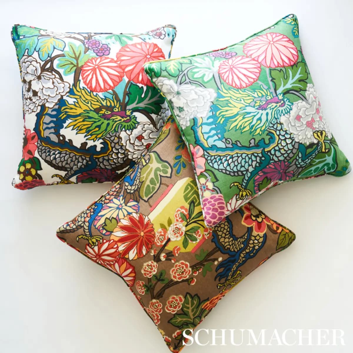 CHIANG MAI DRAGON_ MOCHA