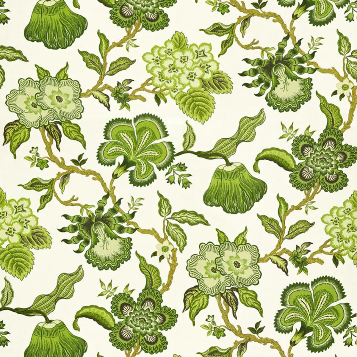 HOTHOUSE FLOWERS_ VERDANCE