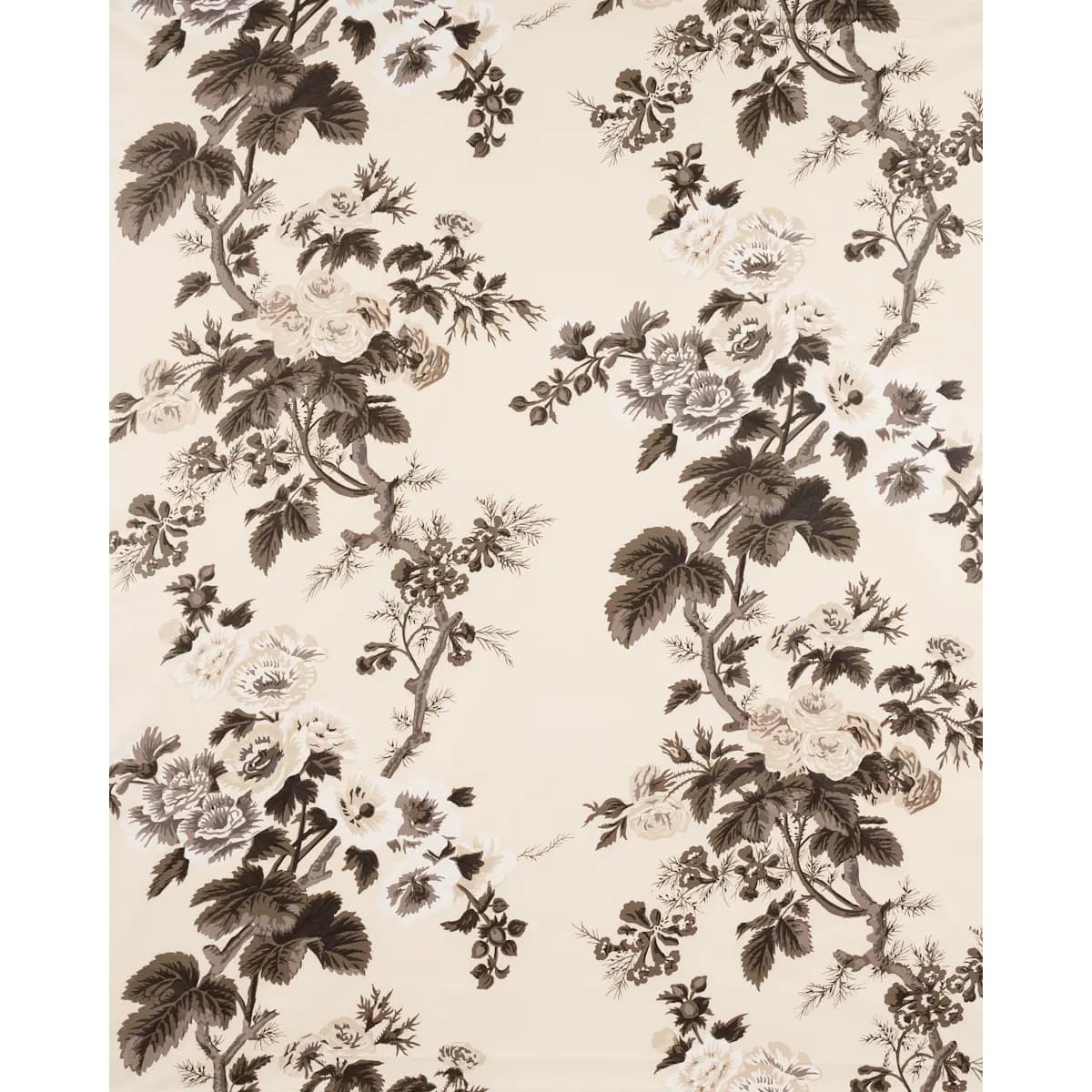 PYNE HOLLYHOCK_ CHARCOAL
