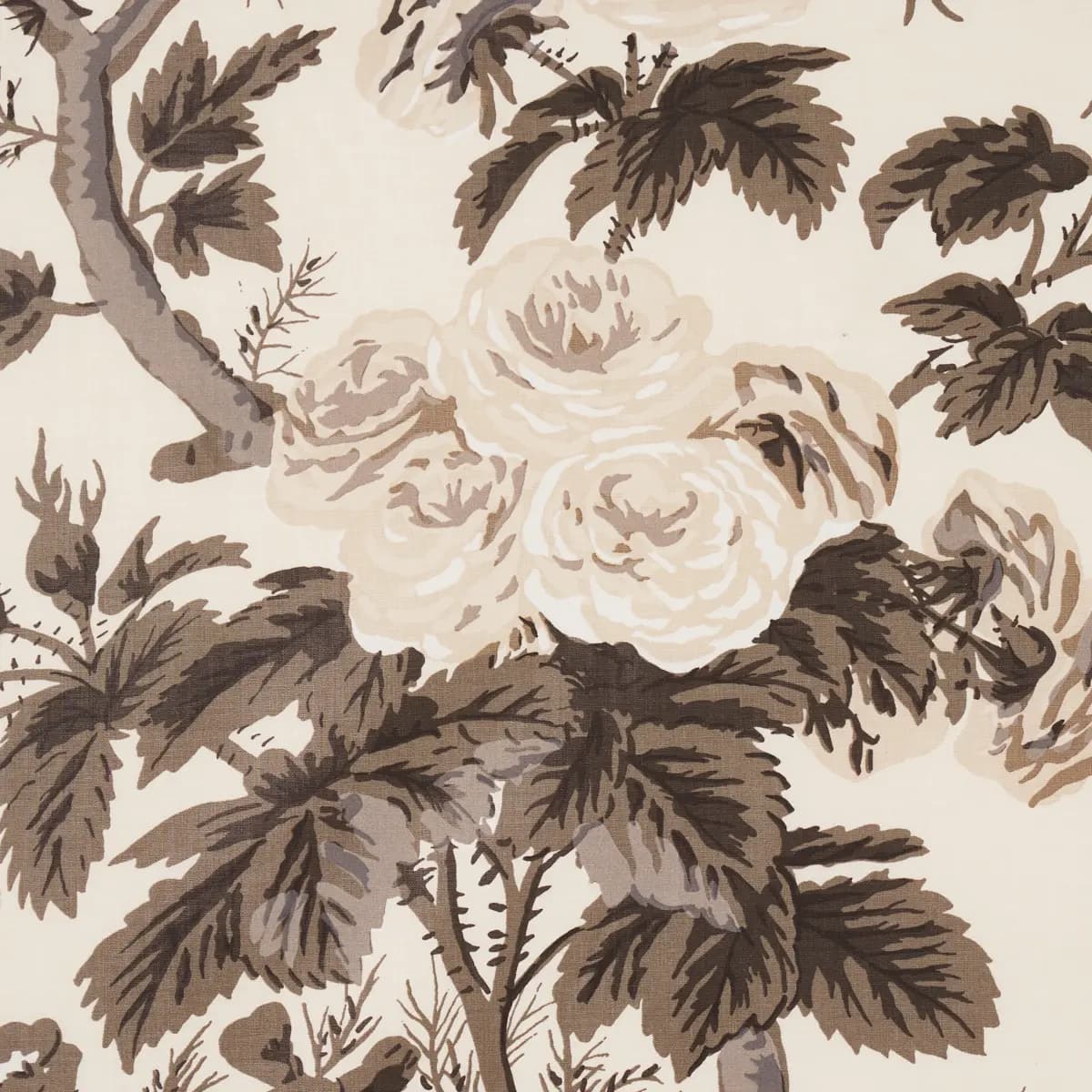 PYNE HOLLYHOCK_ CHARCOAL