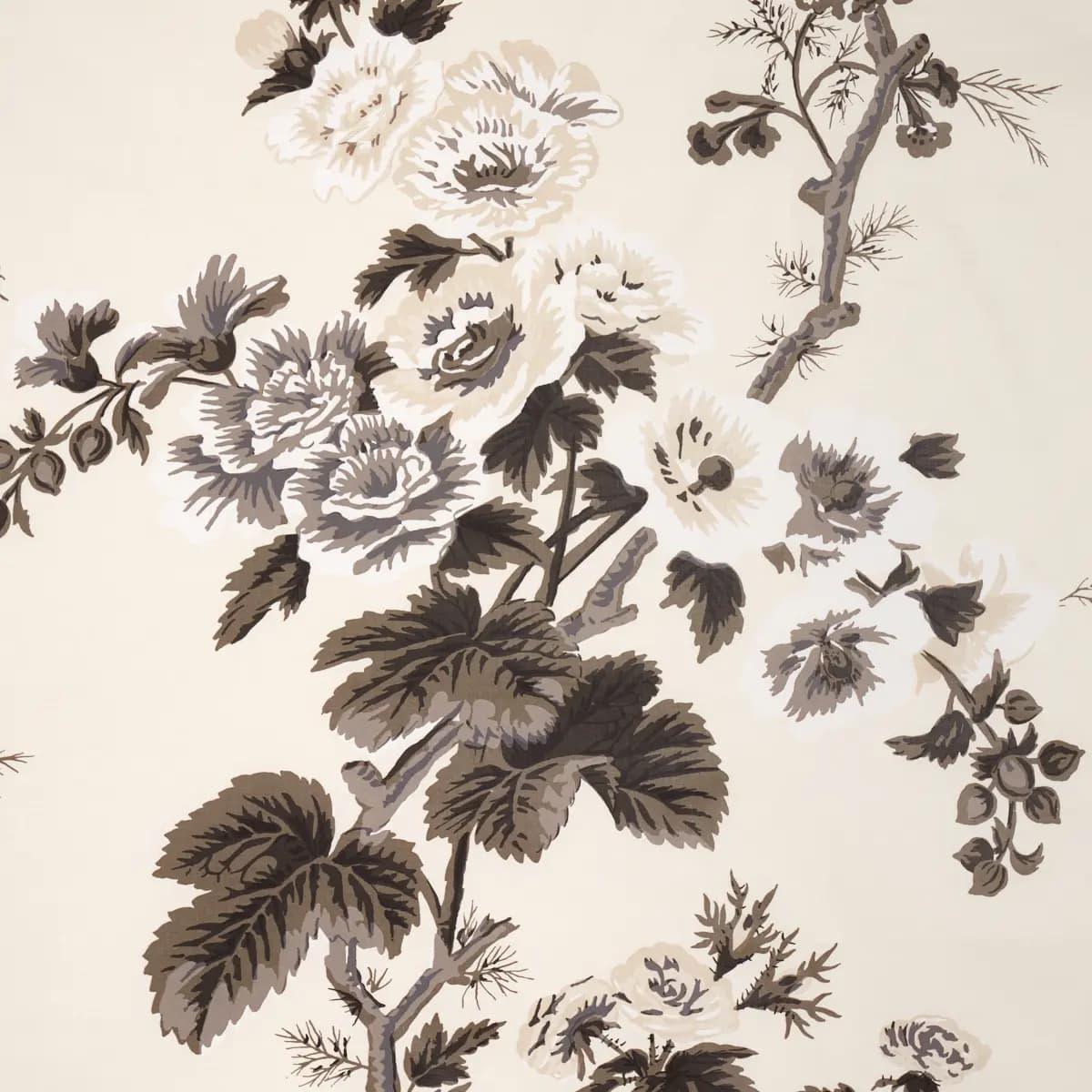 PYNE HOLLYHOCK_ CHARCOAL