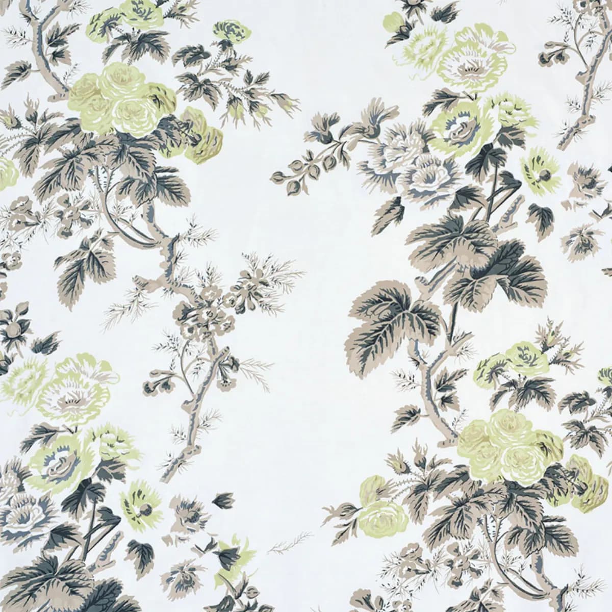 PYNE HOLLYHOCK_ GREEN TEA