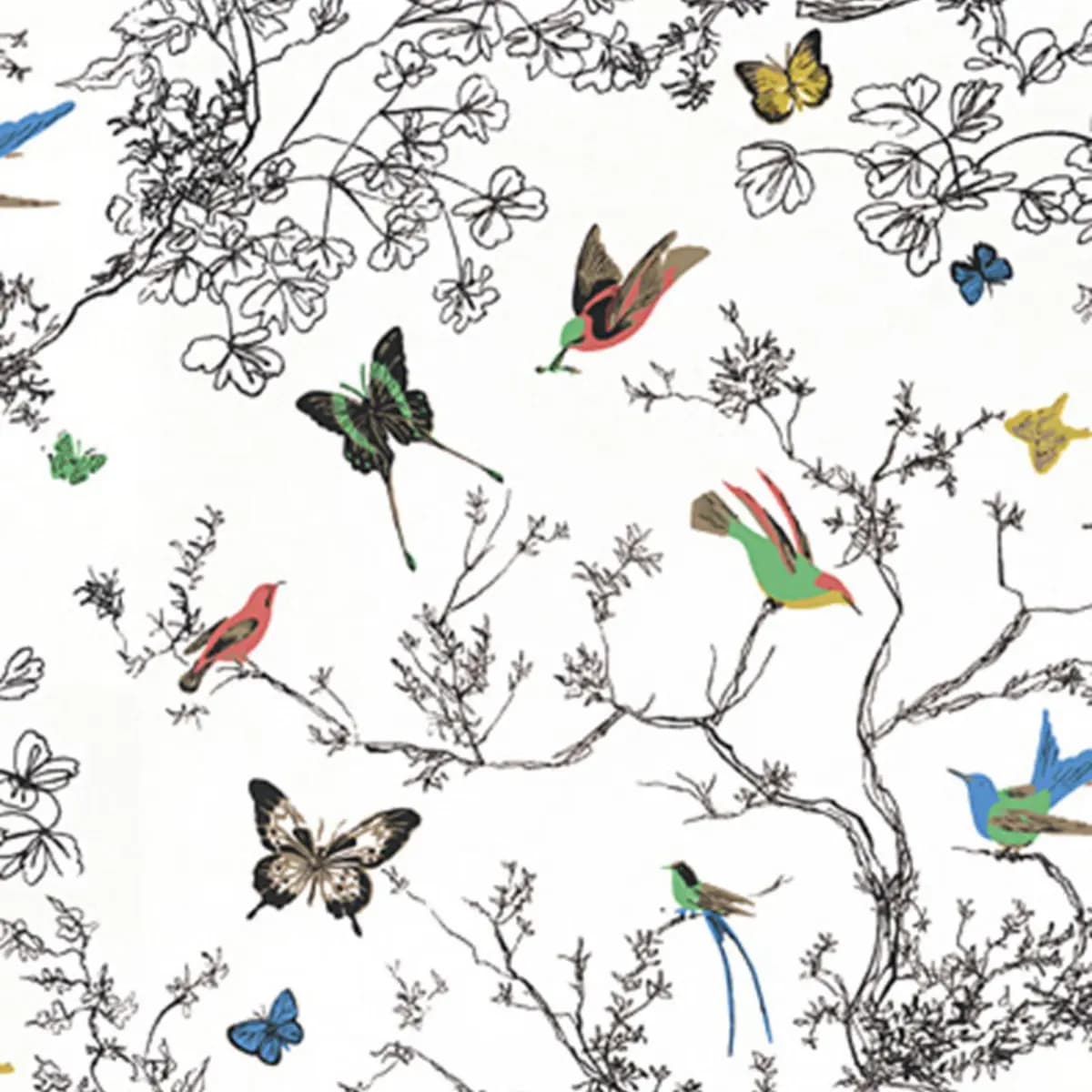 BIRDS & BUTTERFLIES_ MULTI ON WHITE