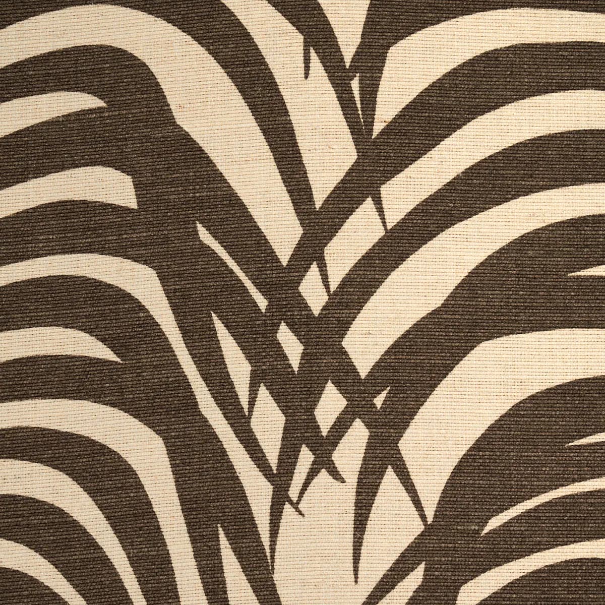 ZEBRA PALM_ JAVA