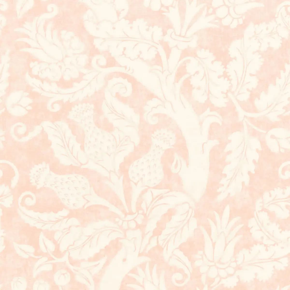 VILLA DE MEDICI_ BLUSH CONCH