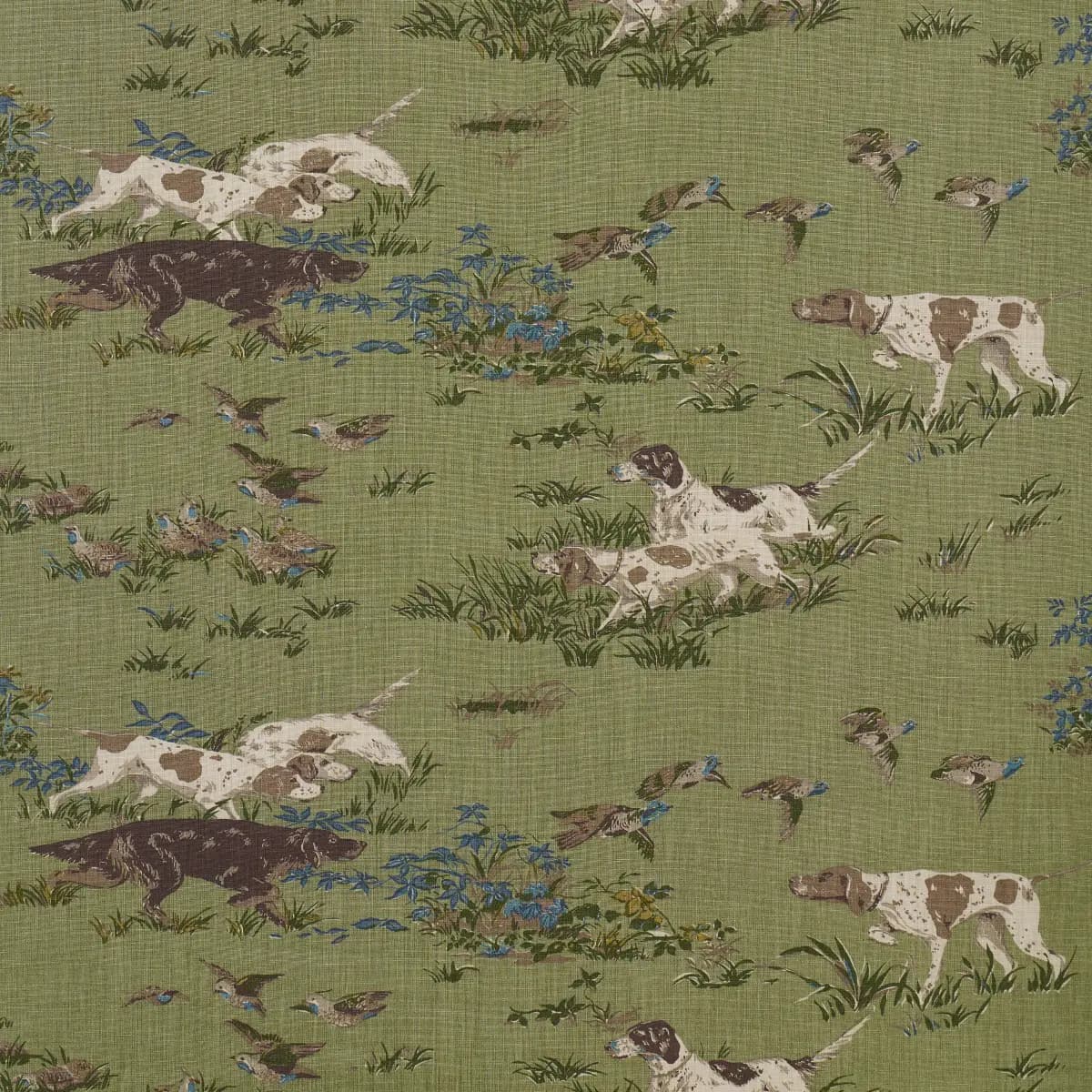 POINTERS_ MEADOW