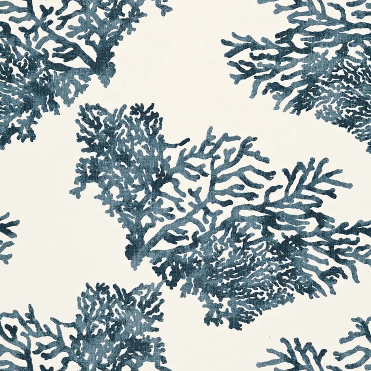 GREAT BARRIER REEF_ INDIGO
