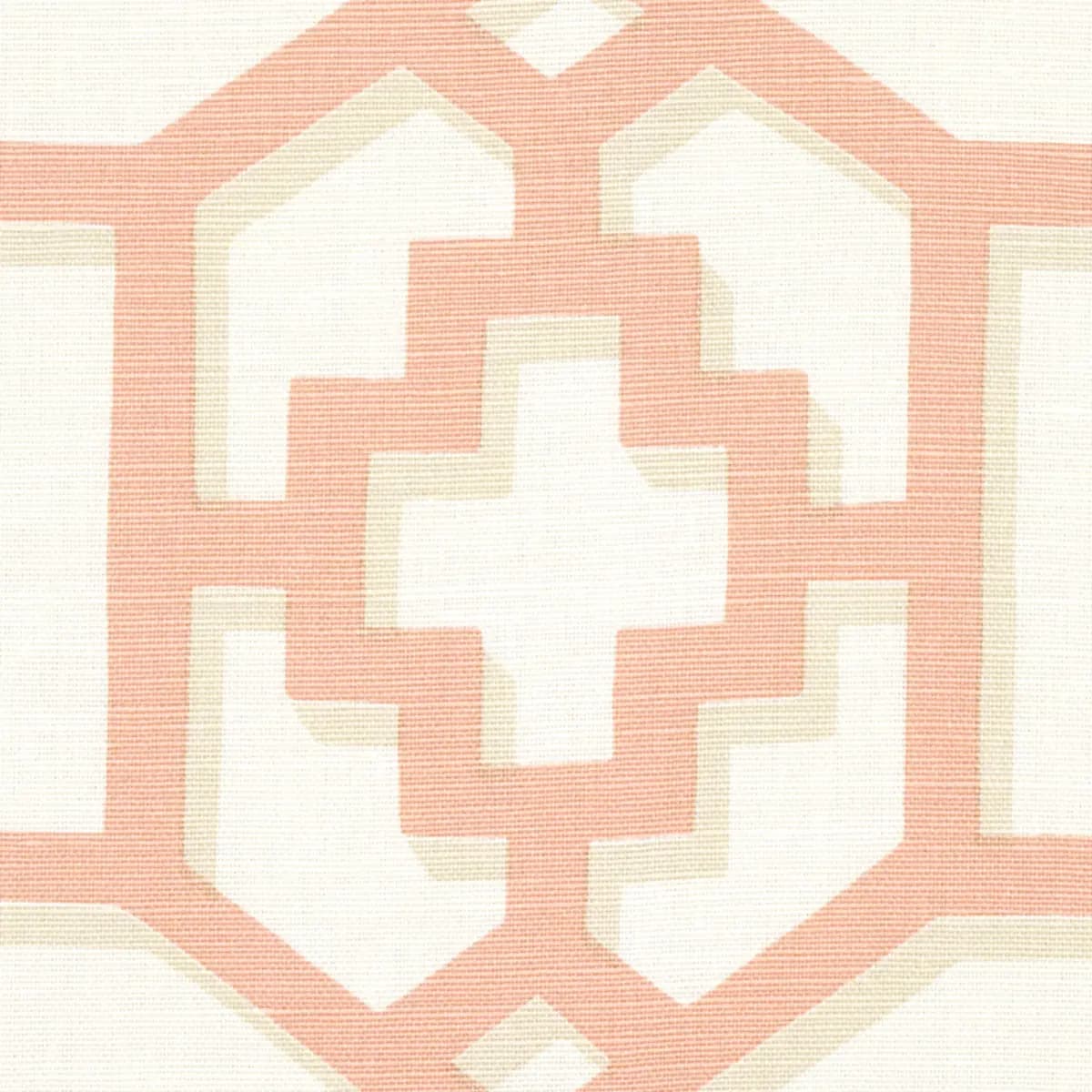 ZANZIBAR TRELLIS_ CORAL