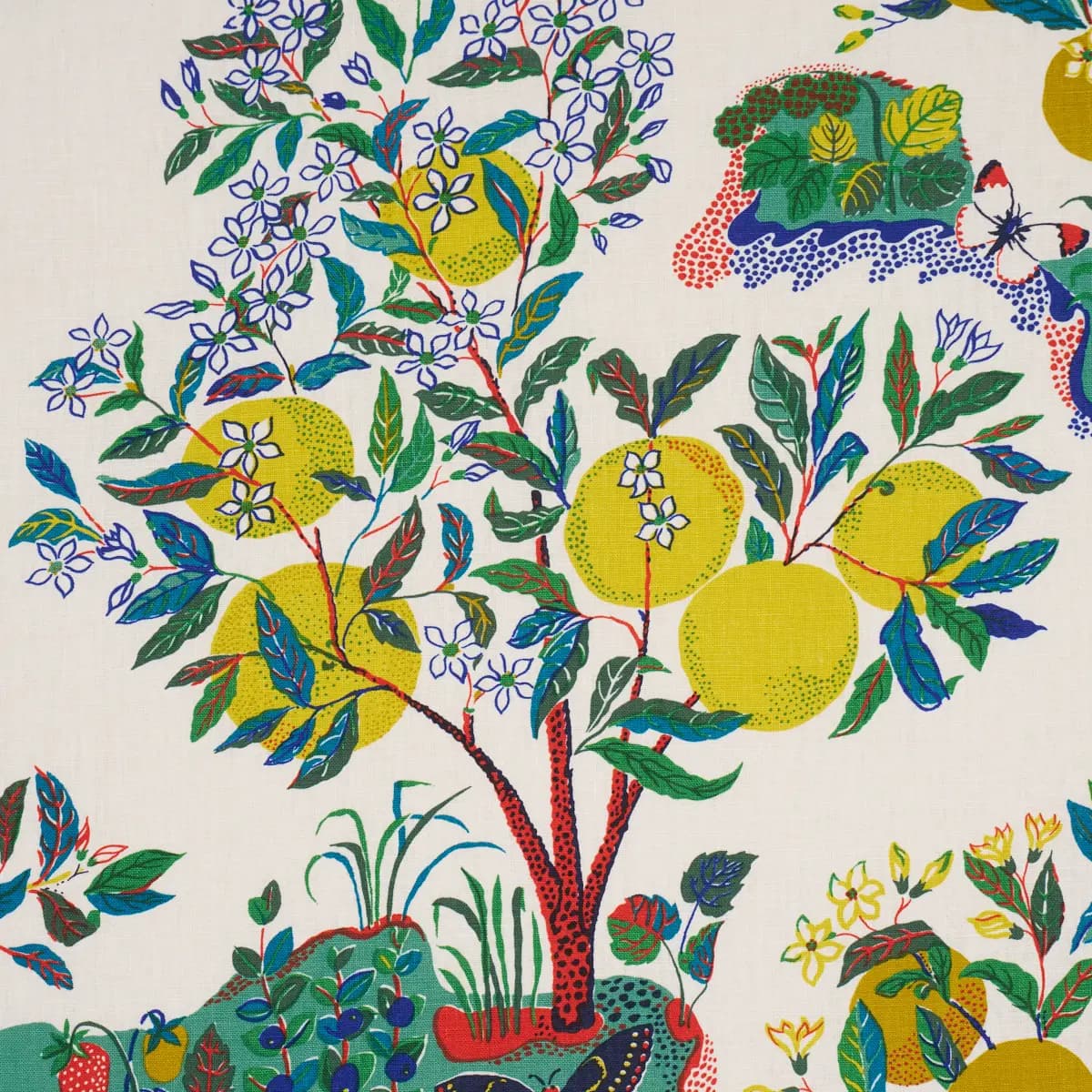CITRUS GARDEN_ PRIMARY