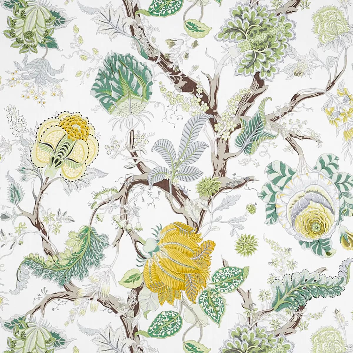 INDIAN ARBRE_ CITRON