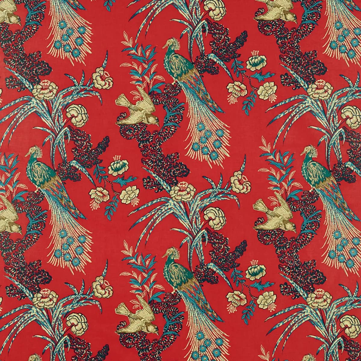 PEACOCK_ RED