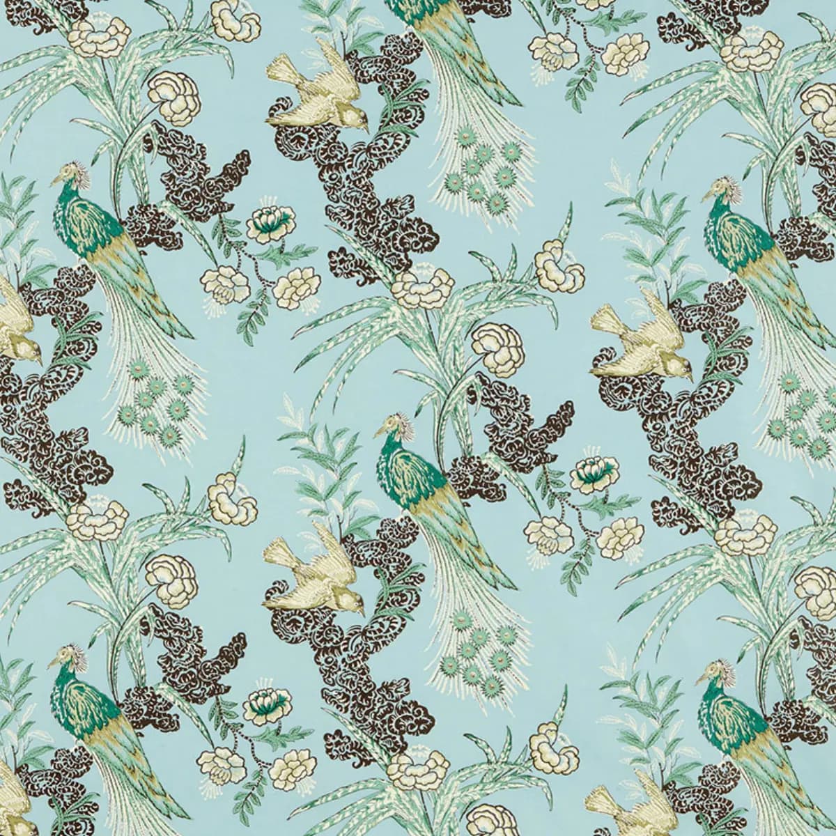 PEACOCK_ AQUA