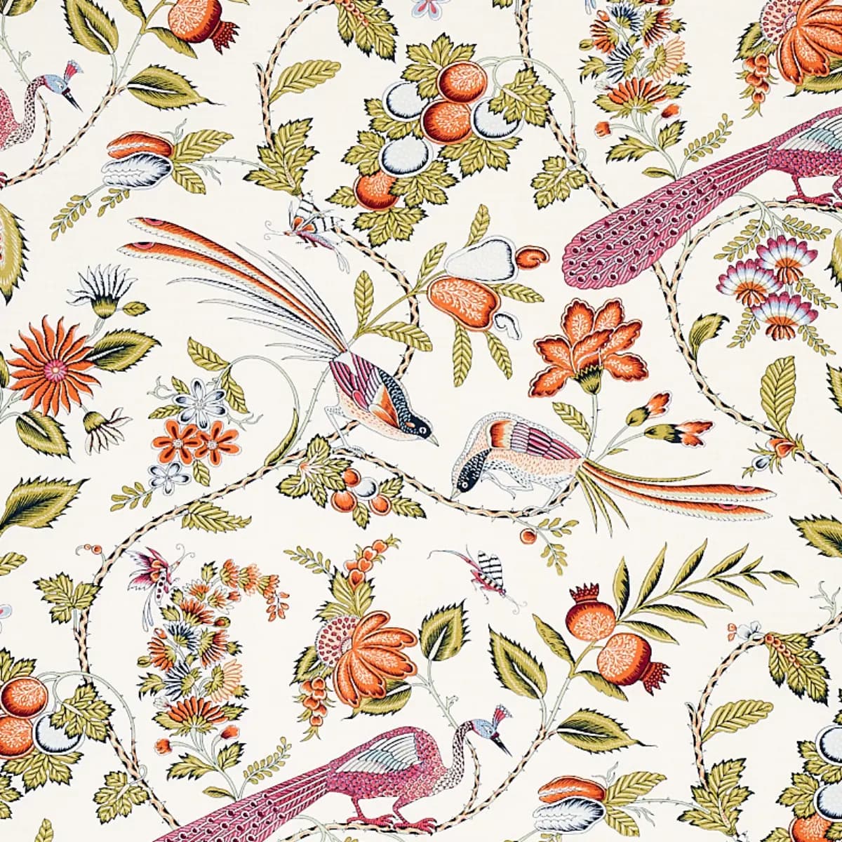 CAMPAGNE_ PERSIMMON & PINK