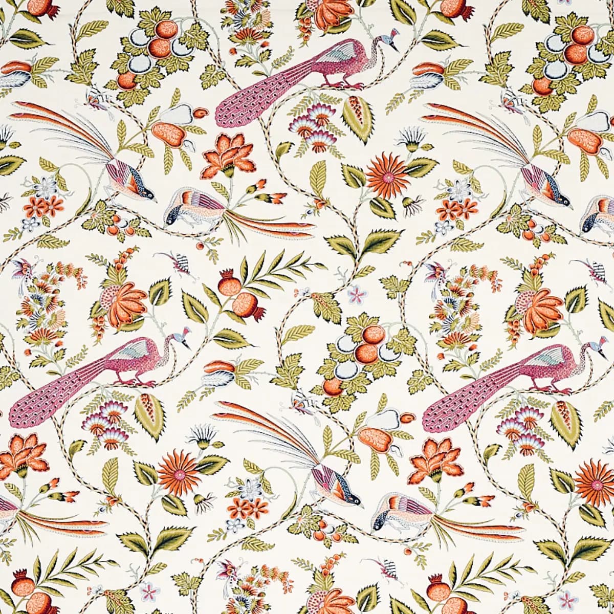 CAMPAGNE_ PERSIMMON & PINK