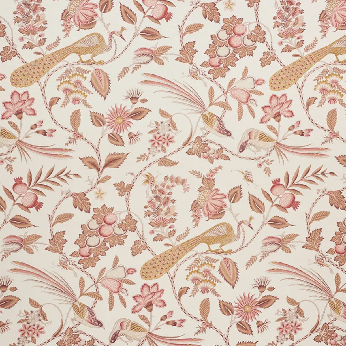 CAMPAGNE_ ROSE & OCHRE