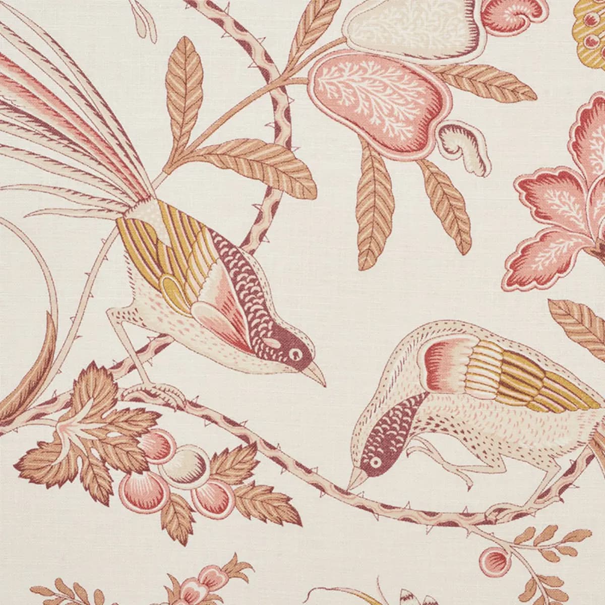 CAMPAGNE_ ROSE & OCHRE