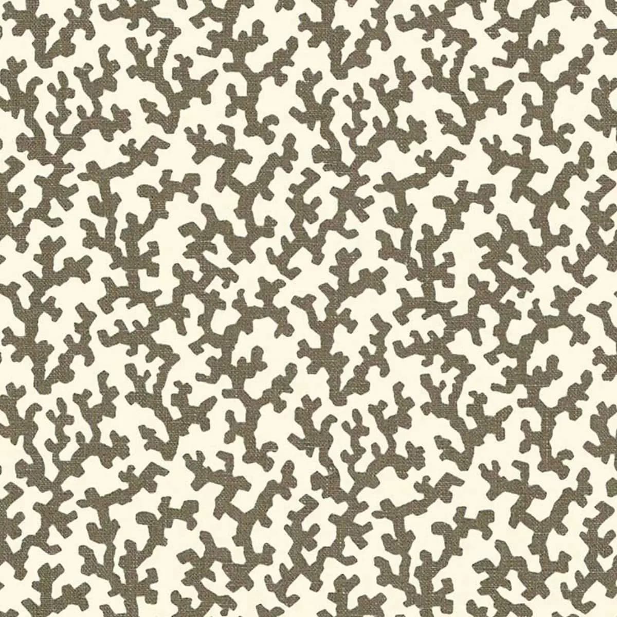 FOLLY_ BERBER BROWN