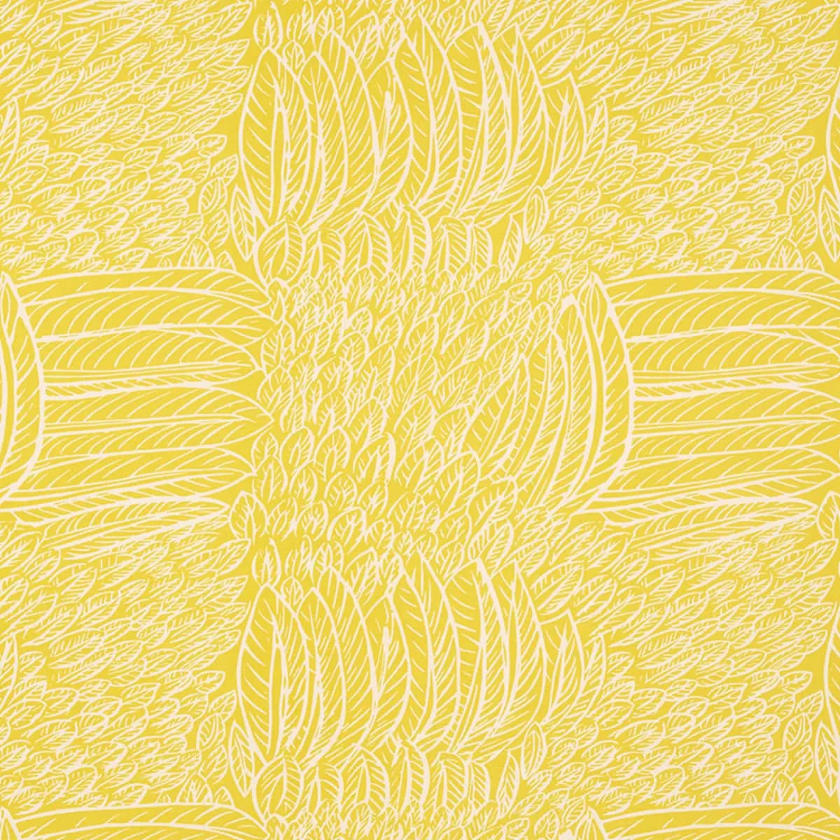 FEATHERFEST_ CITRON